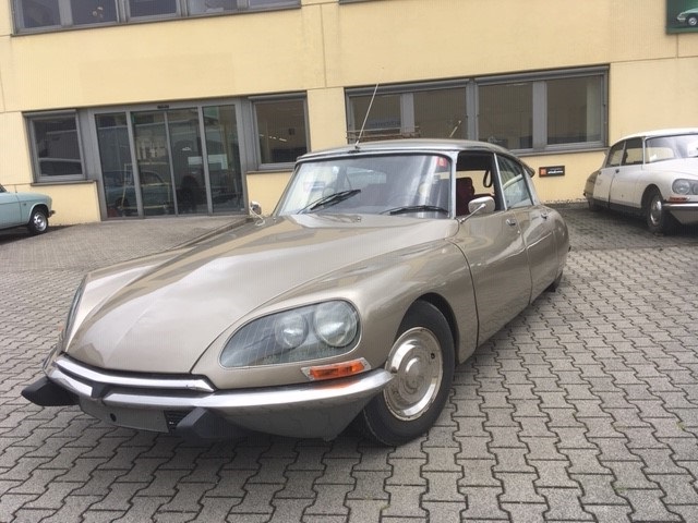 DS23 Pallas bv5m