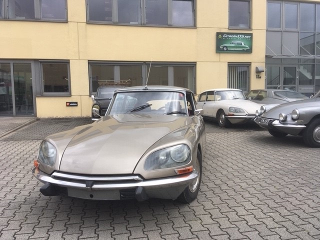 DS23 Pallas bv5m
