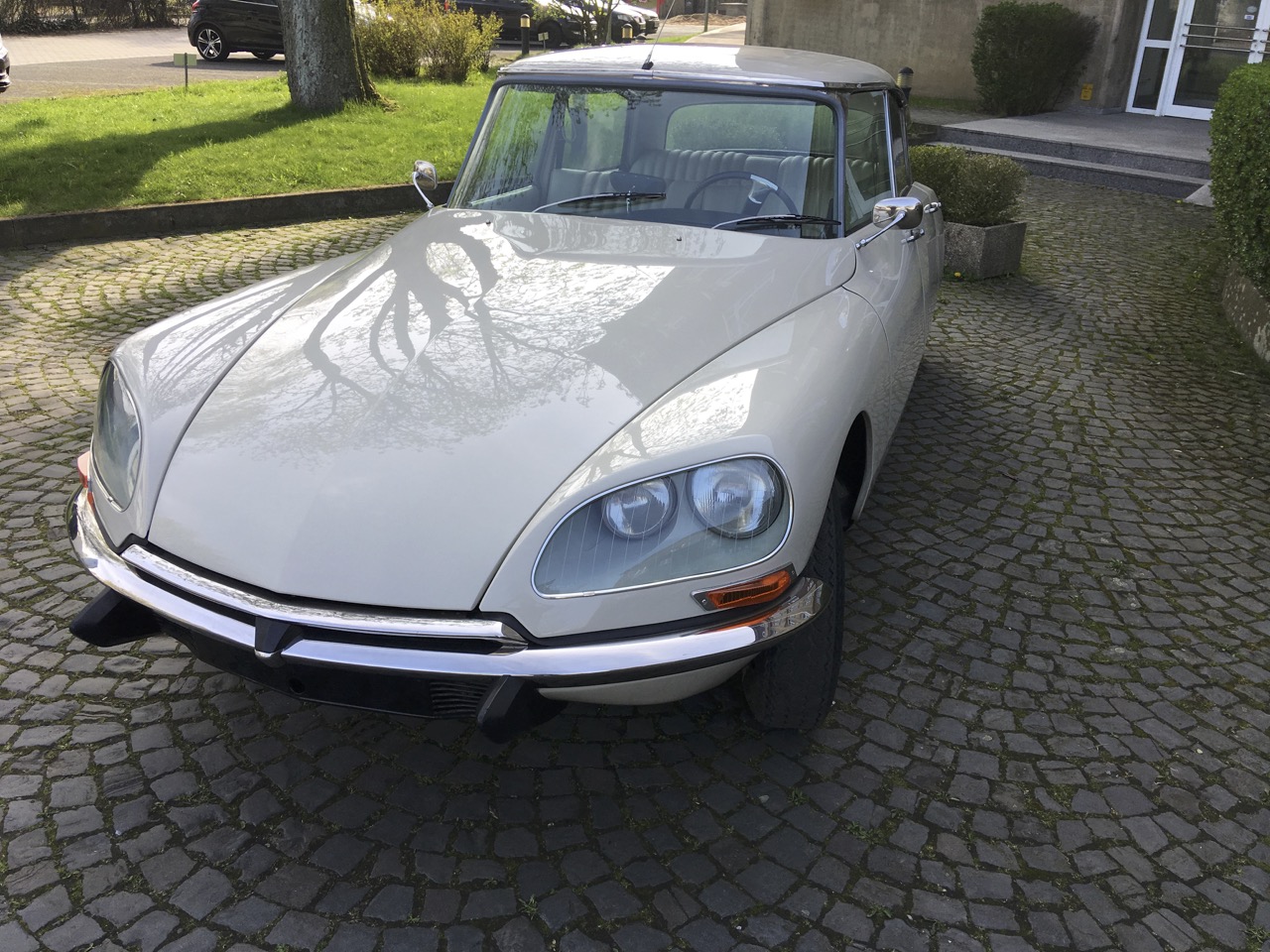 DS 21 Pallas