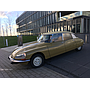 DS 21 inj. Pallas
