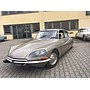DS23 Pallas bv5m